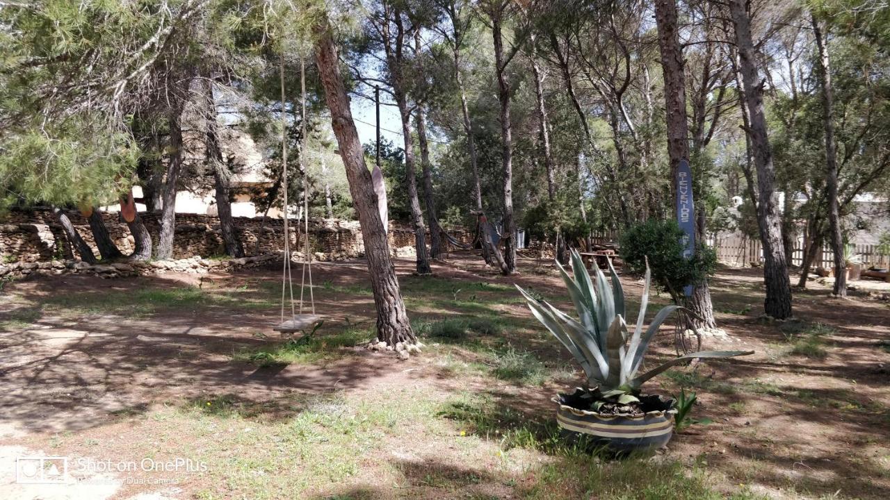 Вилла Casa Beja San Francisco Javier Экстерьер фото
